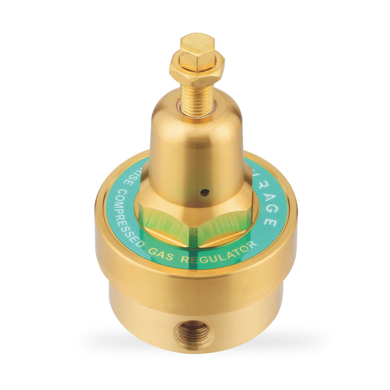 WR77L系列中量减压器