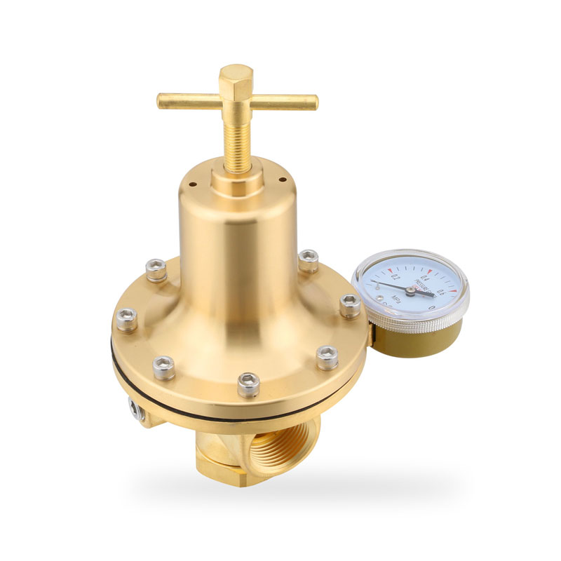 WR318系列气体减压器