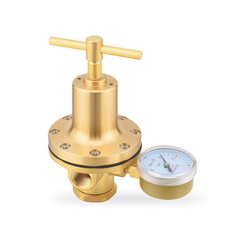 WR315HP系列大流量减压器